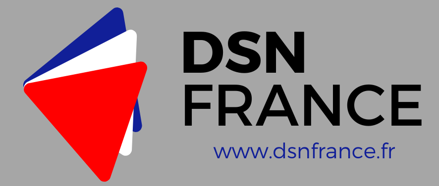 Logo DSN France - Rectangle